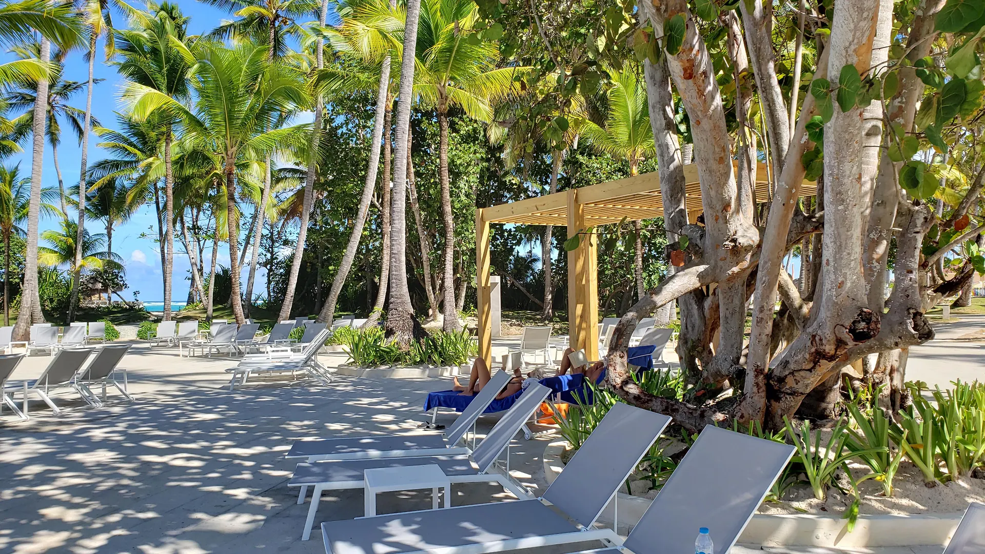 Grand Bavaro Princess (Adults Only) 5*,  Dominican Republic